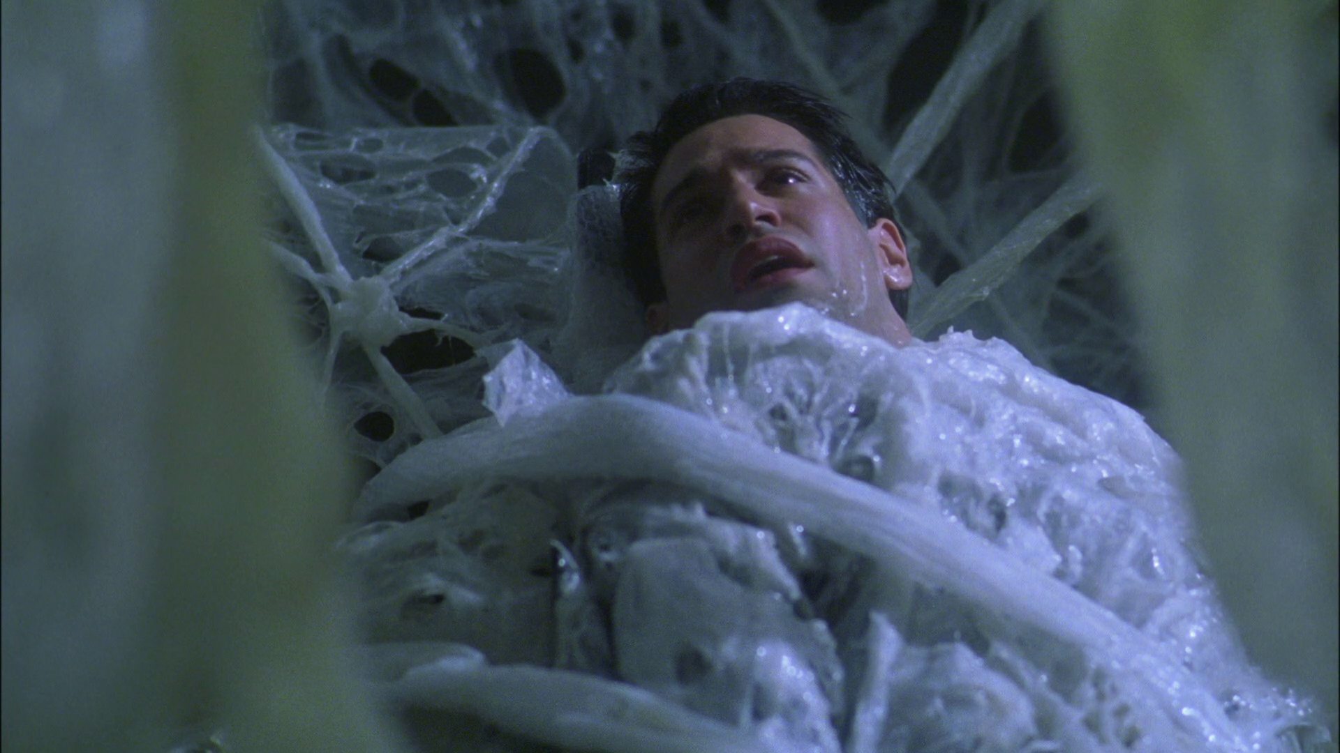 extant_StarTrek_ENT_1x22-VoxSola_2089.jpg