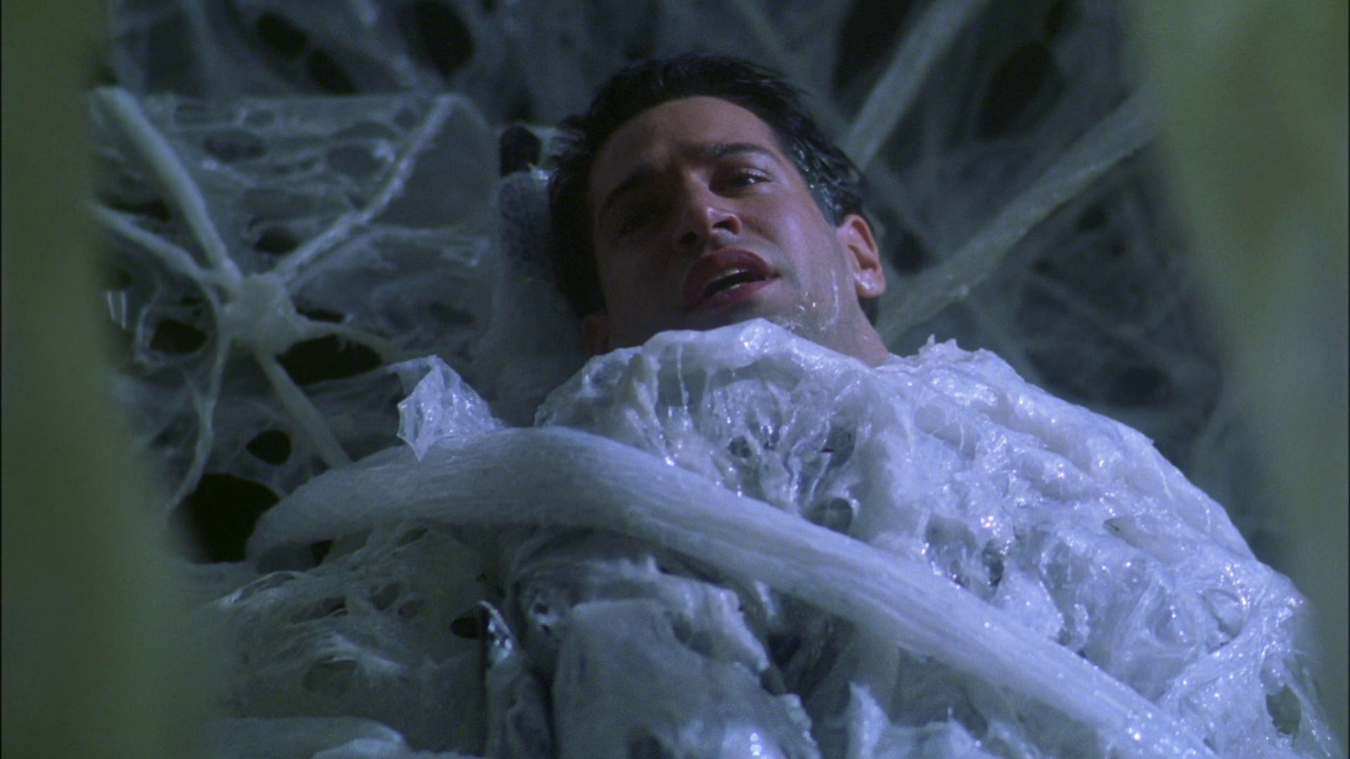 extant_StarTrek_ENT_1x22-VoxSola_2092.jpg