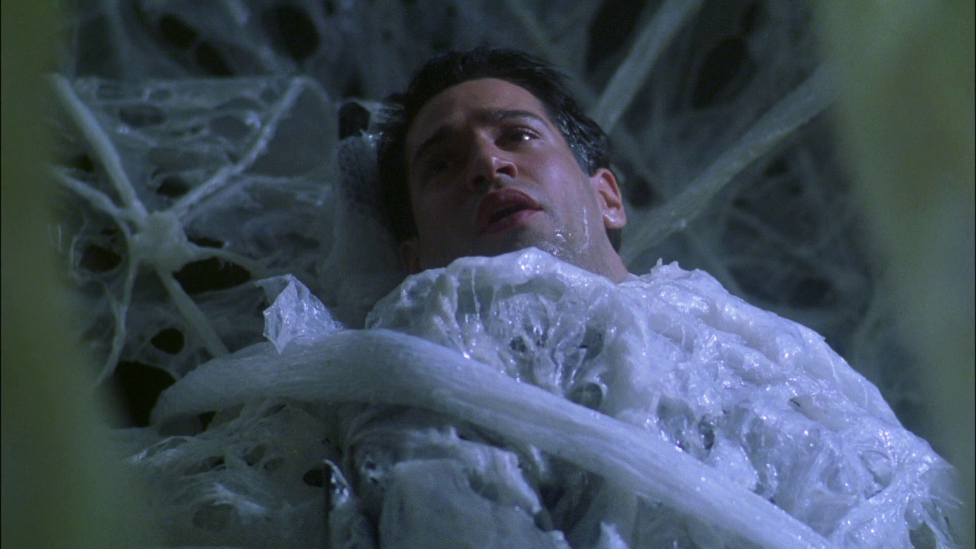 extant_StarTrek_ENT_1x22-VoxSola_2093.jpg