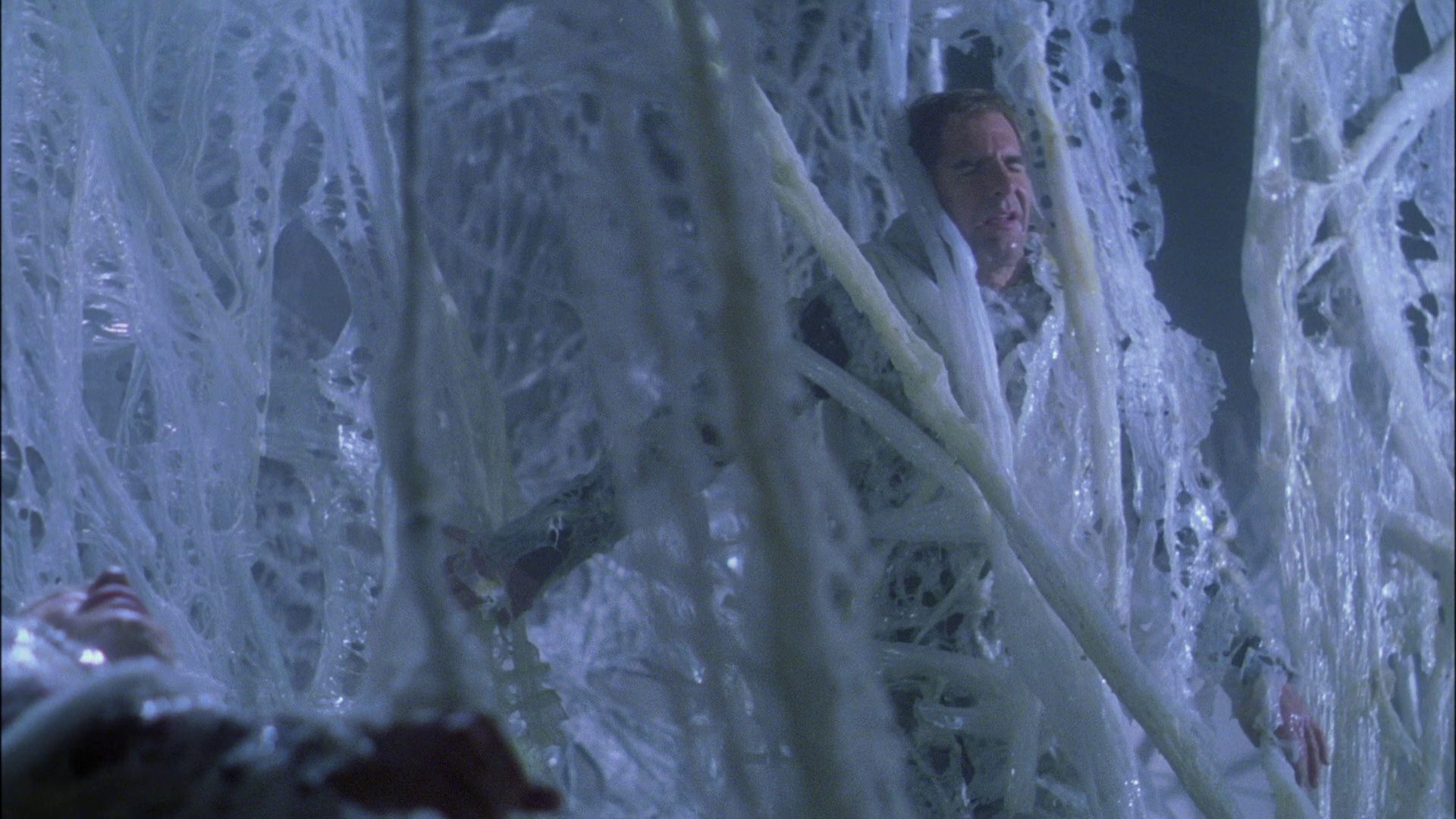 extant_StarTrek_ENT_1x22-VoxSola_2095.jpg