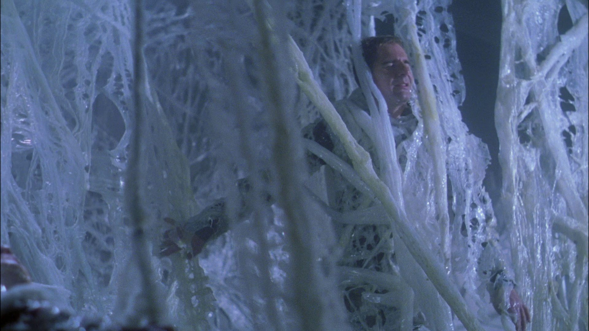 extant_StarTrek_ENT_1x22-VoxSola_2098.jpg
