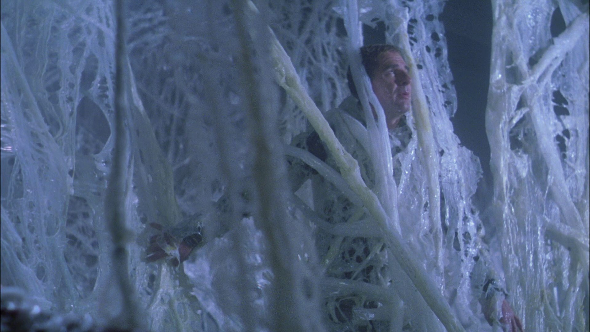 extant_StarTrek_ENT_1x22-VoxSola_2100.jpg