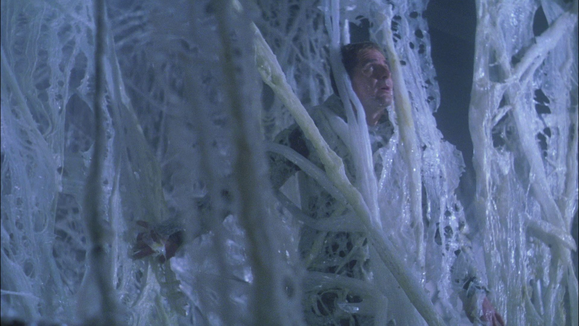 extant_StarTrek_ENT_1x22-VoxSola_2101.jpg