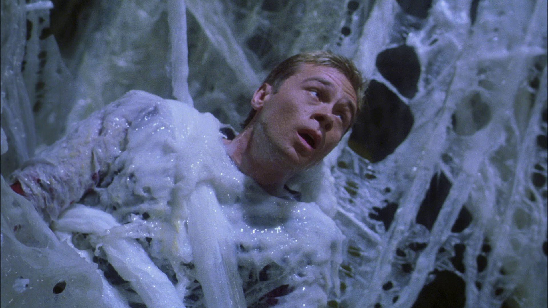 extant_StarTrek_ENT_1x22-VoxSola_2106.jpg
