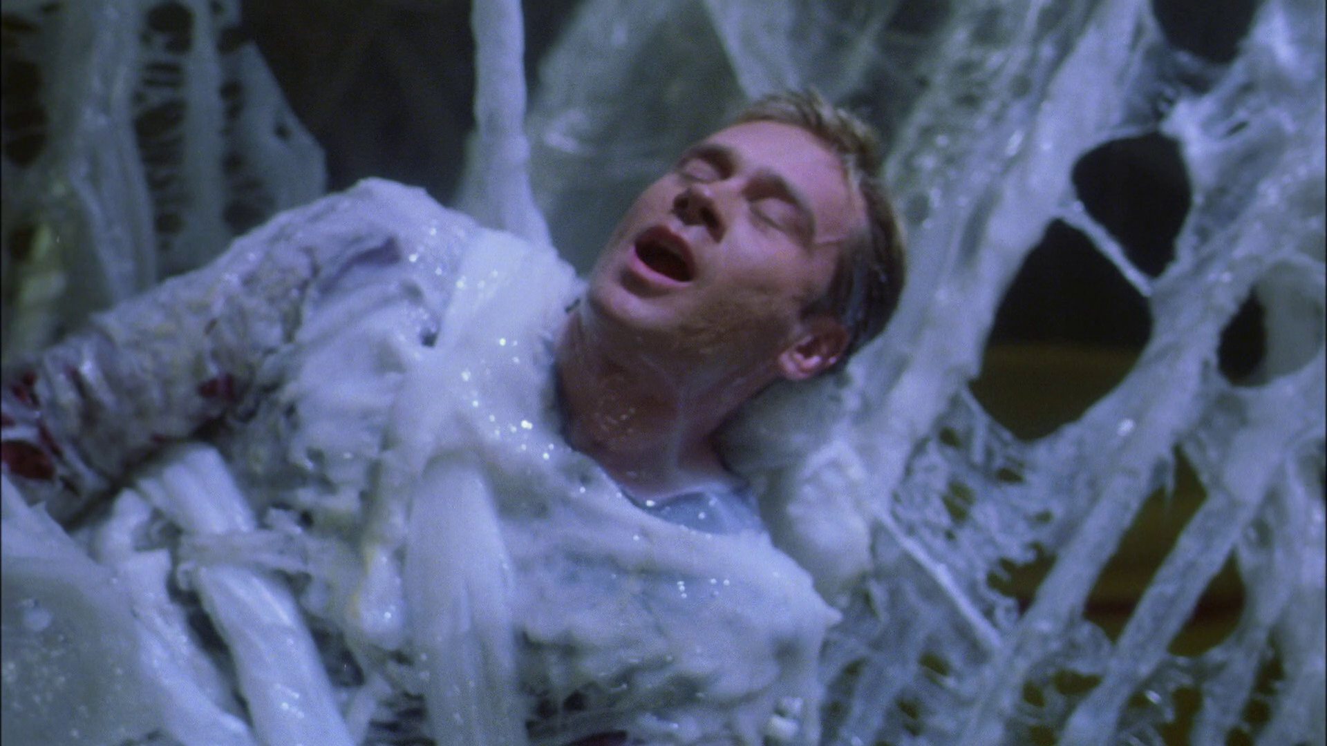 extant_StarTrek_ENT_1x22-VoxSola_2119.jpg