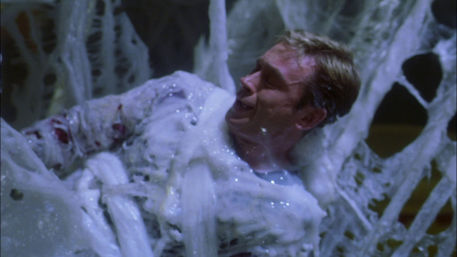 extant_StarTrek_ENT_1x22-VoxSola_2121.jpg
