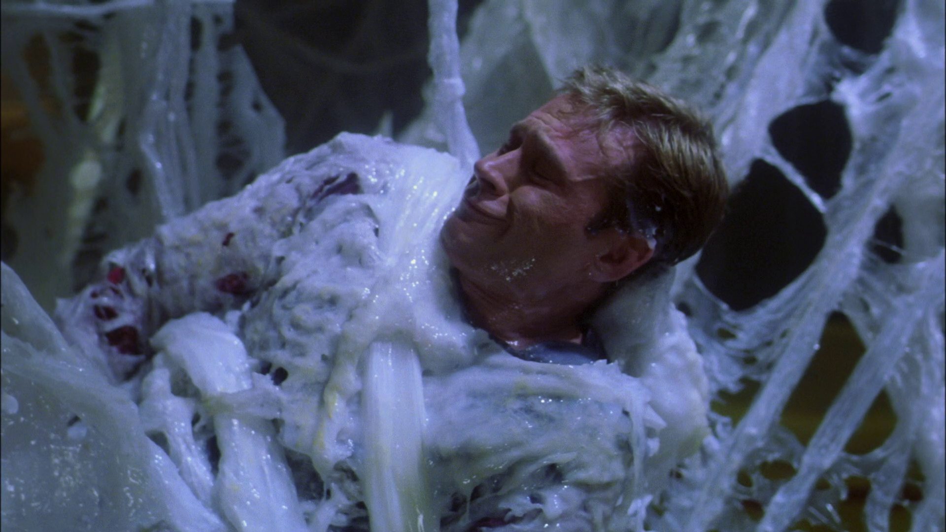 extant_StarTrek_ENT_1x22-VoxSola_2130.jpg