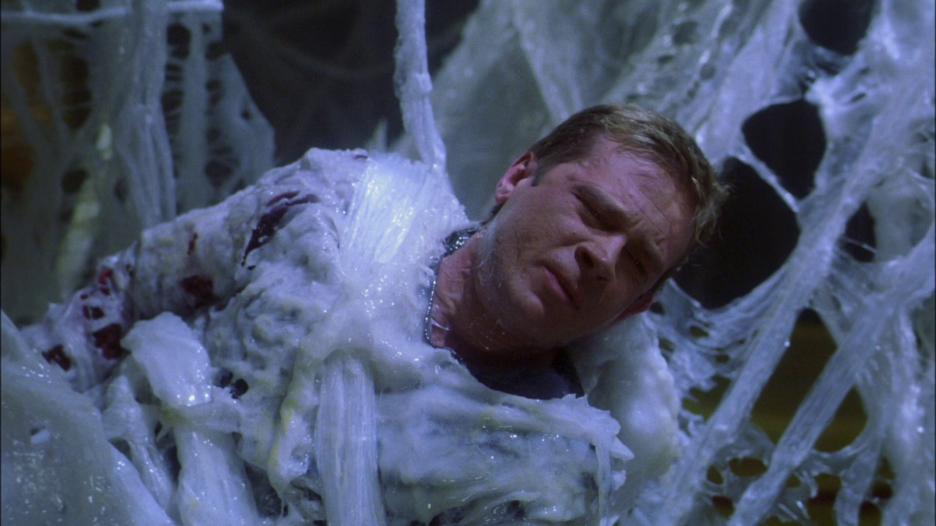 extant_StarTrek_ENT_1x22-VoxSola_2138.jpg