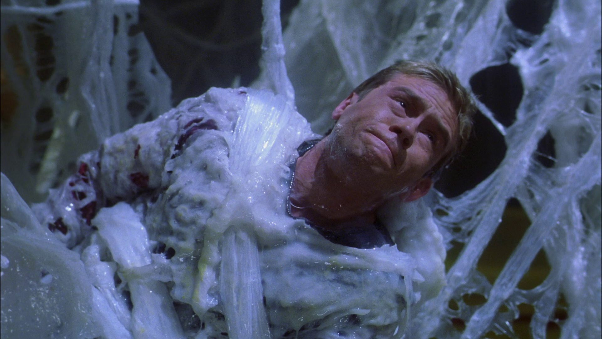 extant_StarTrek_ENT_1x22-VoxSola_2141.jpg
