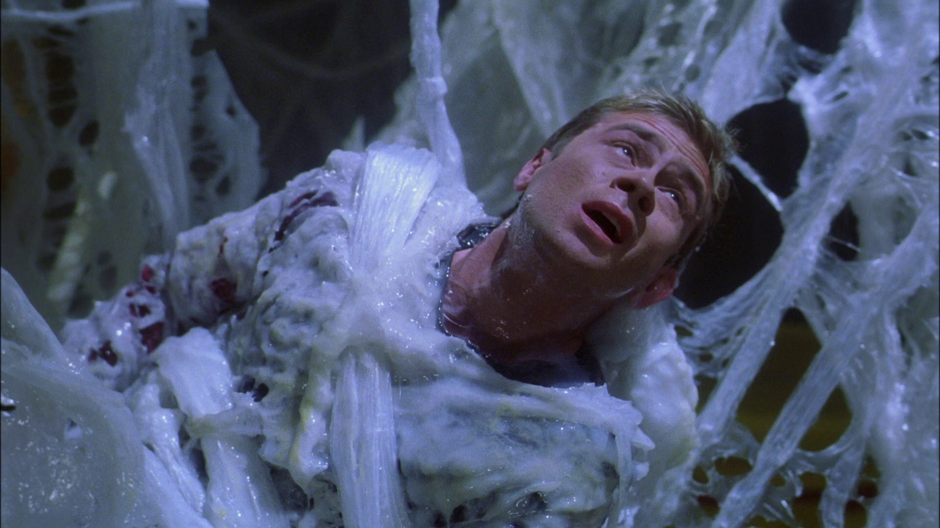 extant_StarTrek_ENT_1x22-VoxSola_2147.jpg