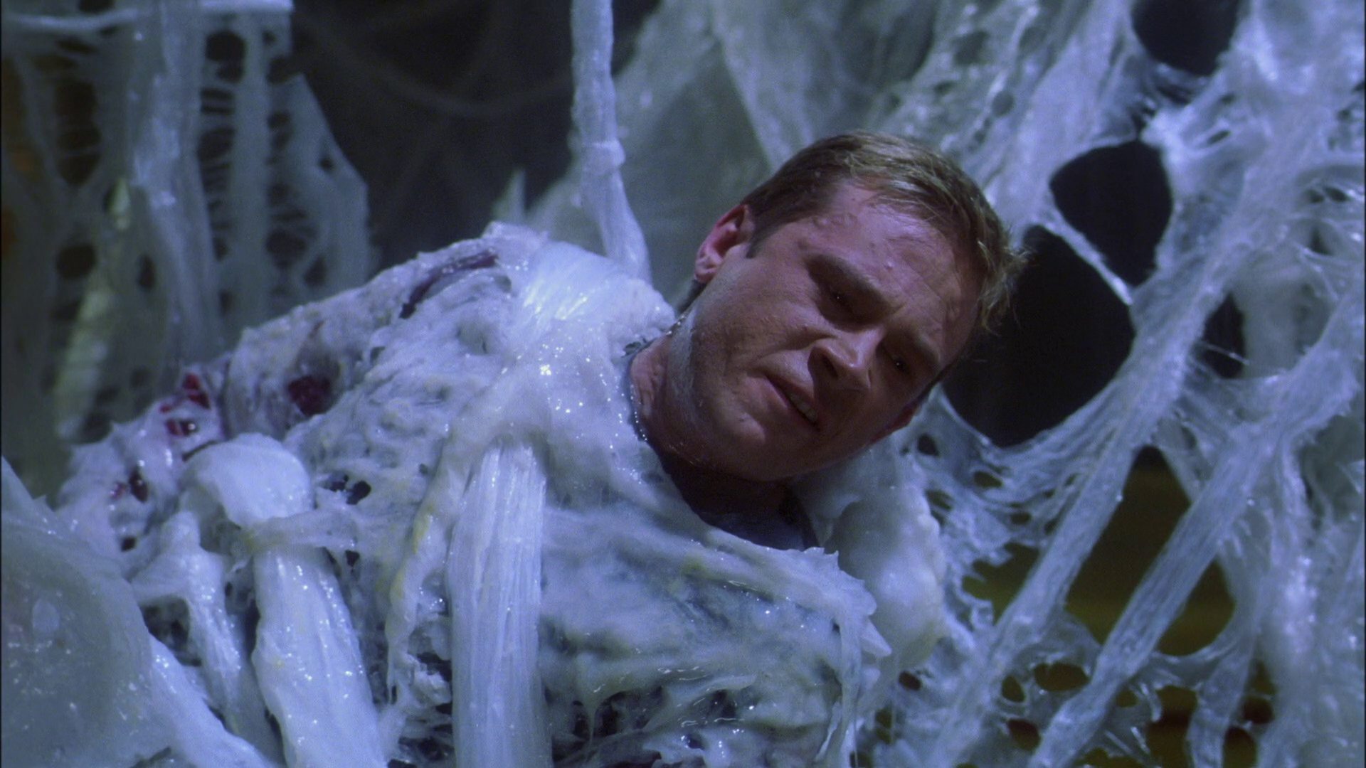 extant_StarTrek_ENT_1x22-VoxSola_2163.jpg