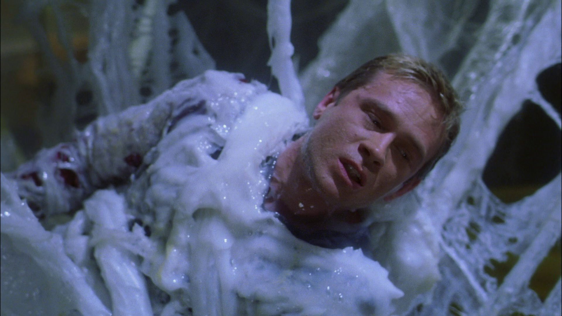 extant_StarTrek_ENT_1x22-VoxSola_2186.jpg