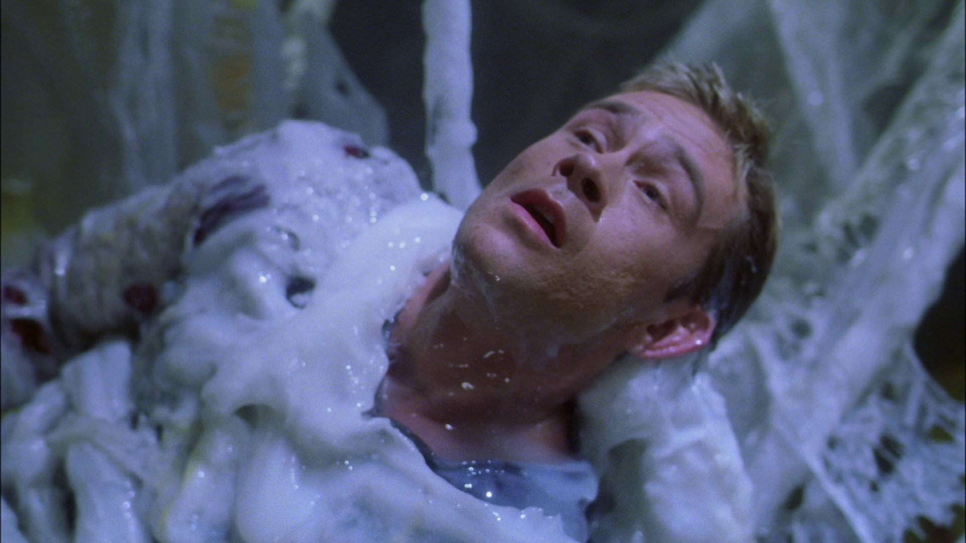 extant_StarTrek_ENT_1x22-VoxSola_2225.jpg