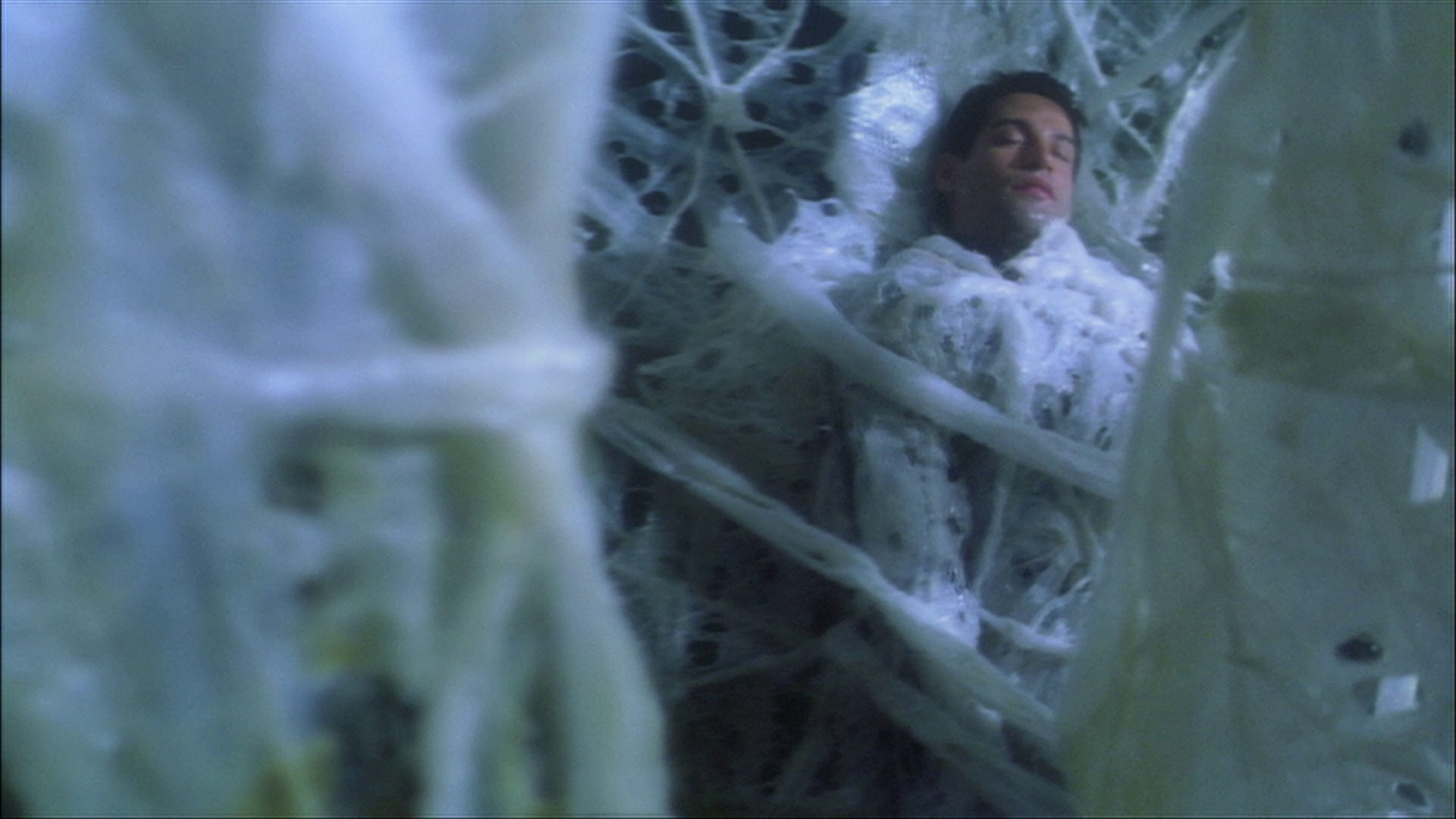 extant_StarTrek_ENT_1x22-VoxSola_2831.jpg