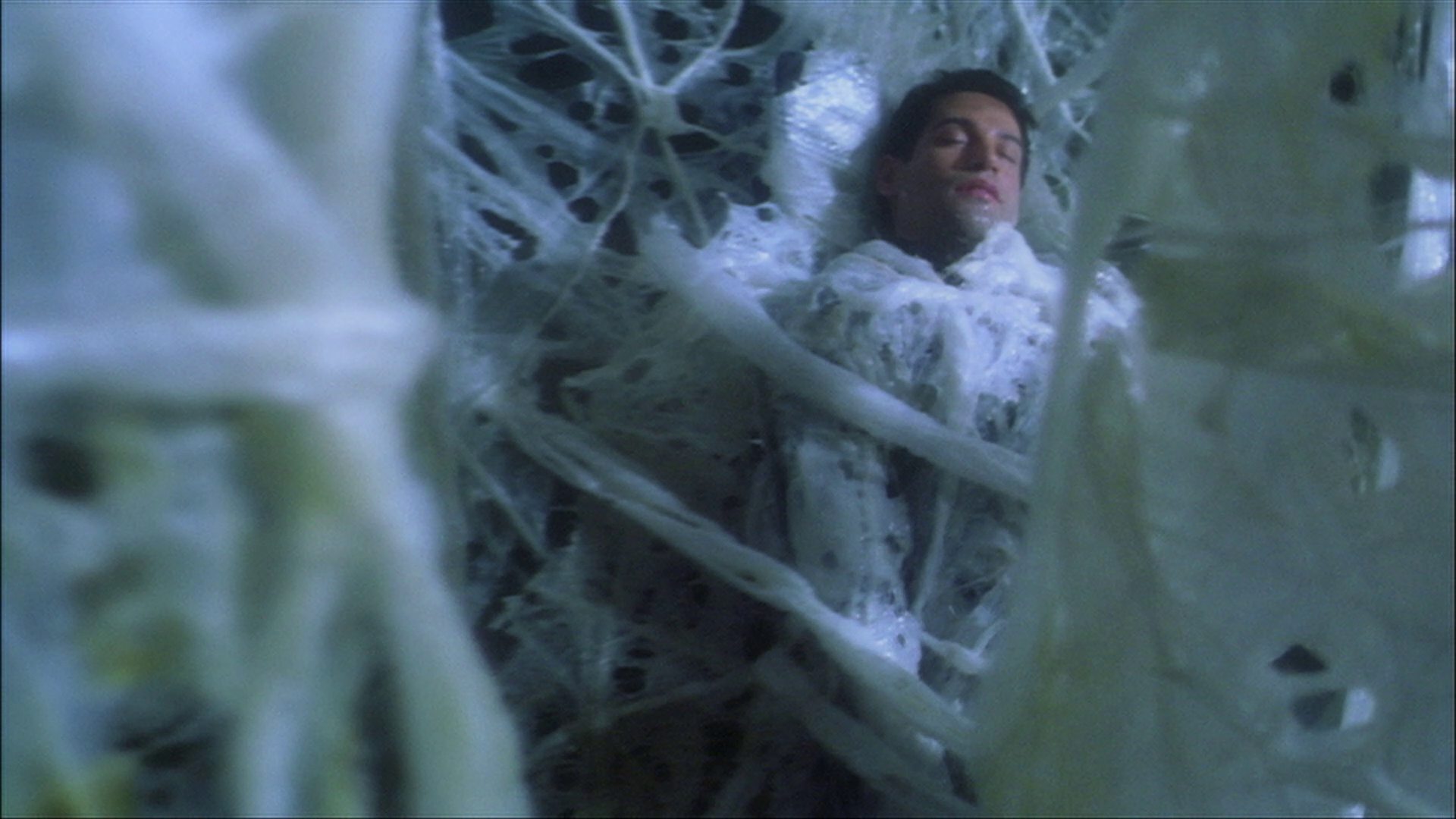 extant_StarTrek_ENT_1x22-VoxSola_2833.jpg