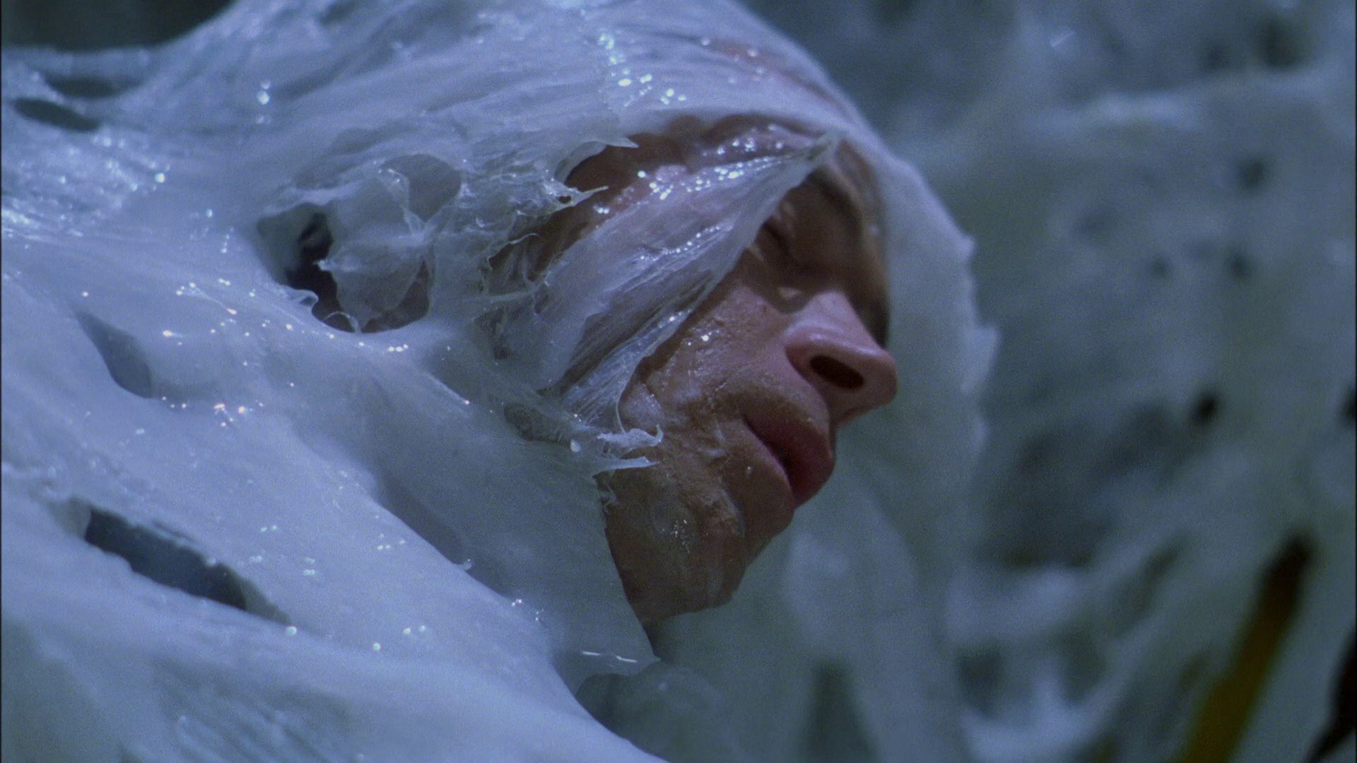extant_StarTrek_ENT_1x22-VoxSola_3007.jpg