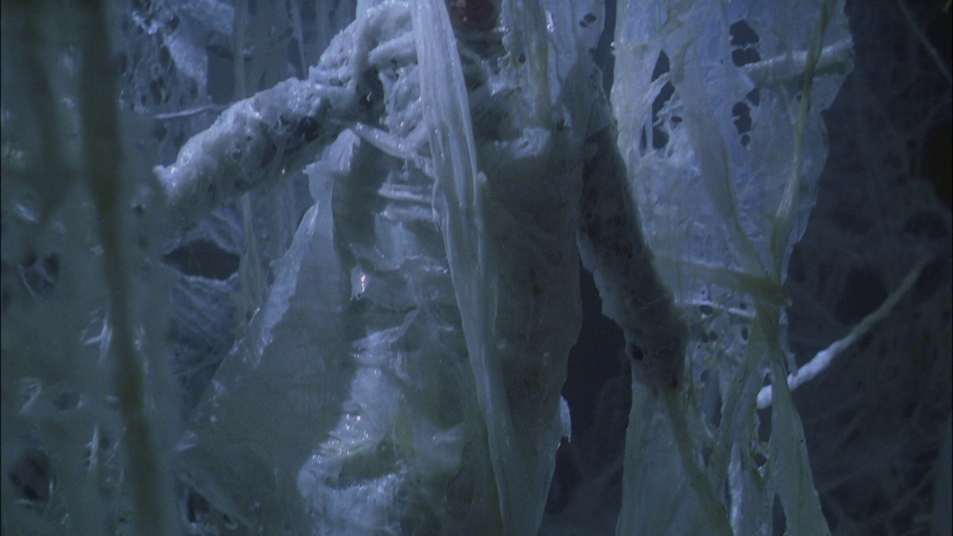 extant_StarTrek_ENT_1x22-VoxSola_3024.jpg