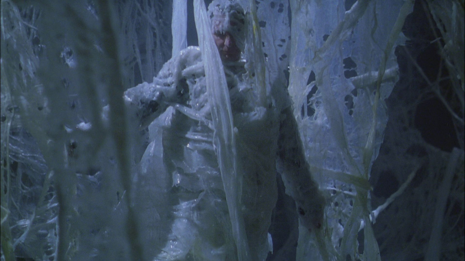 extant_StarTrek_ENT_1x22-VoxSola_3025.jpg