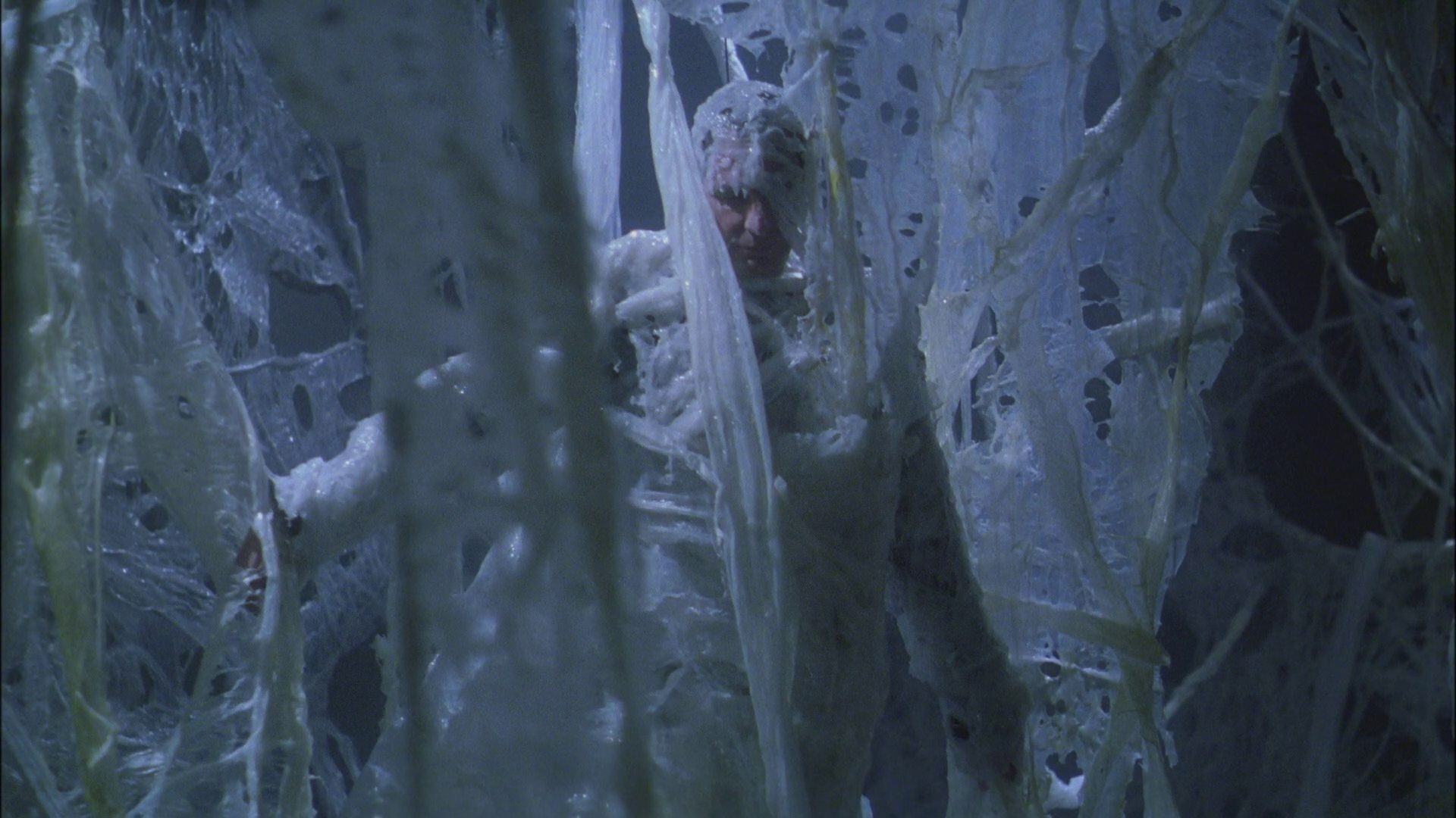 extant_StarTrek_ENT_1x22-VoxSola_3026.jpg