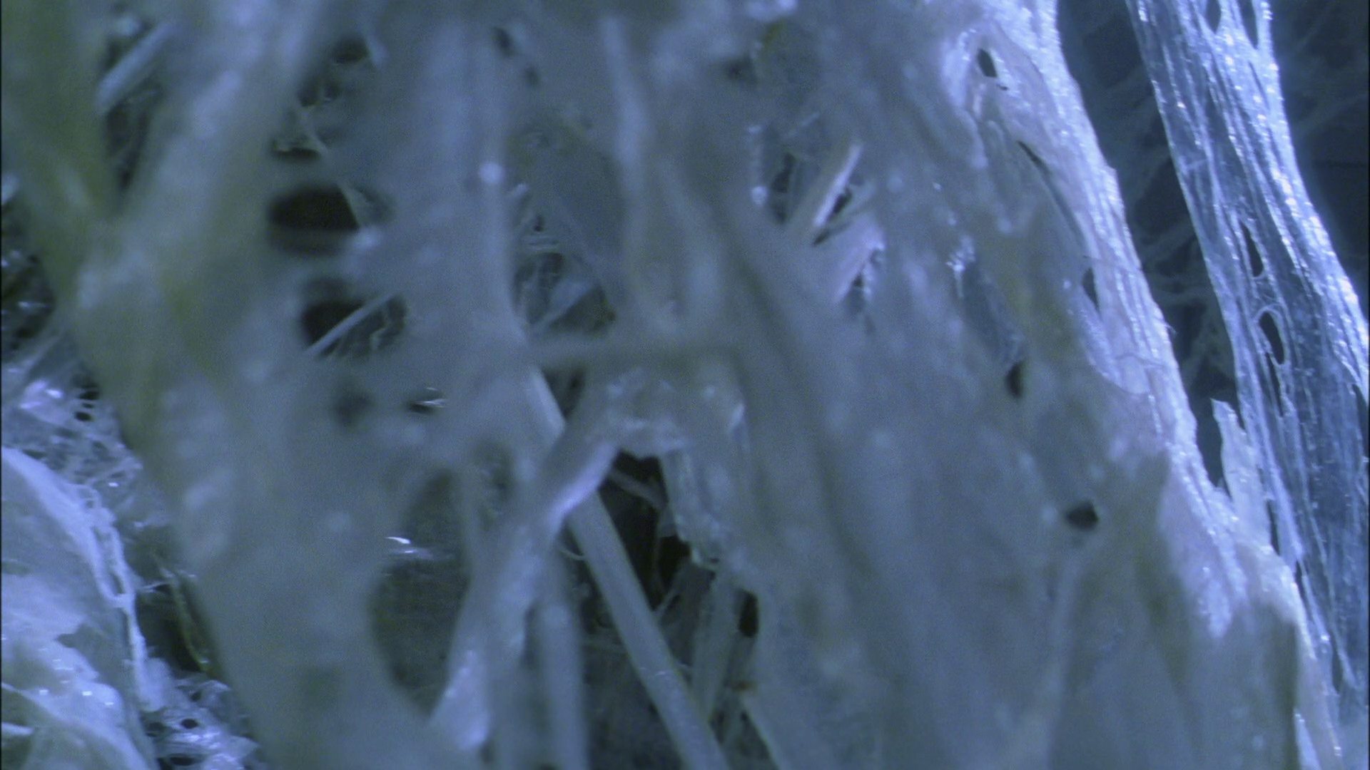 extant_StarTrek_ENT_1x22-VoxSola_3032.jpg