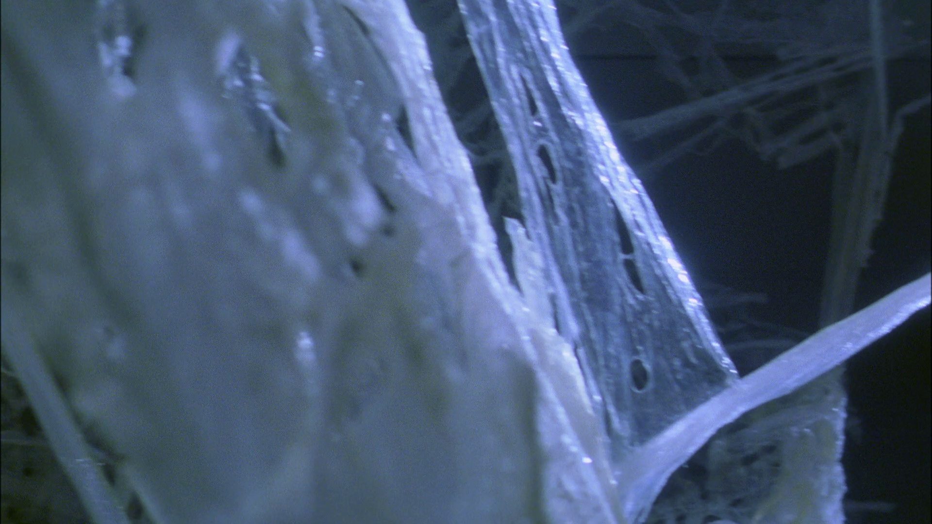 extant_StarTrek_ENT_1x22-VoxSola_3034.jpg
