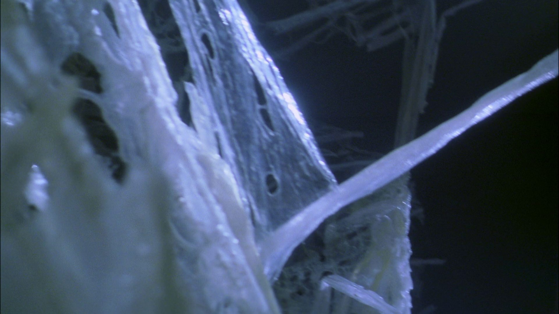 extant_StarTrek_ENT_1x22-VoxSola_3035.jpg