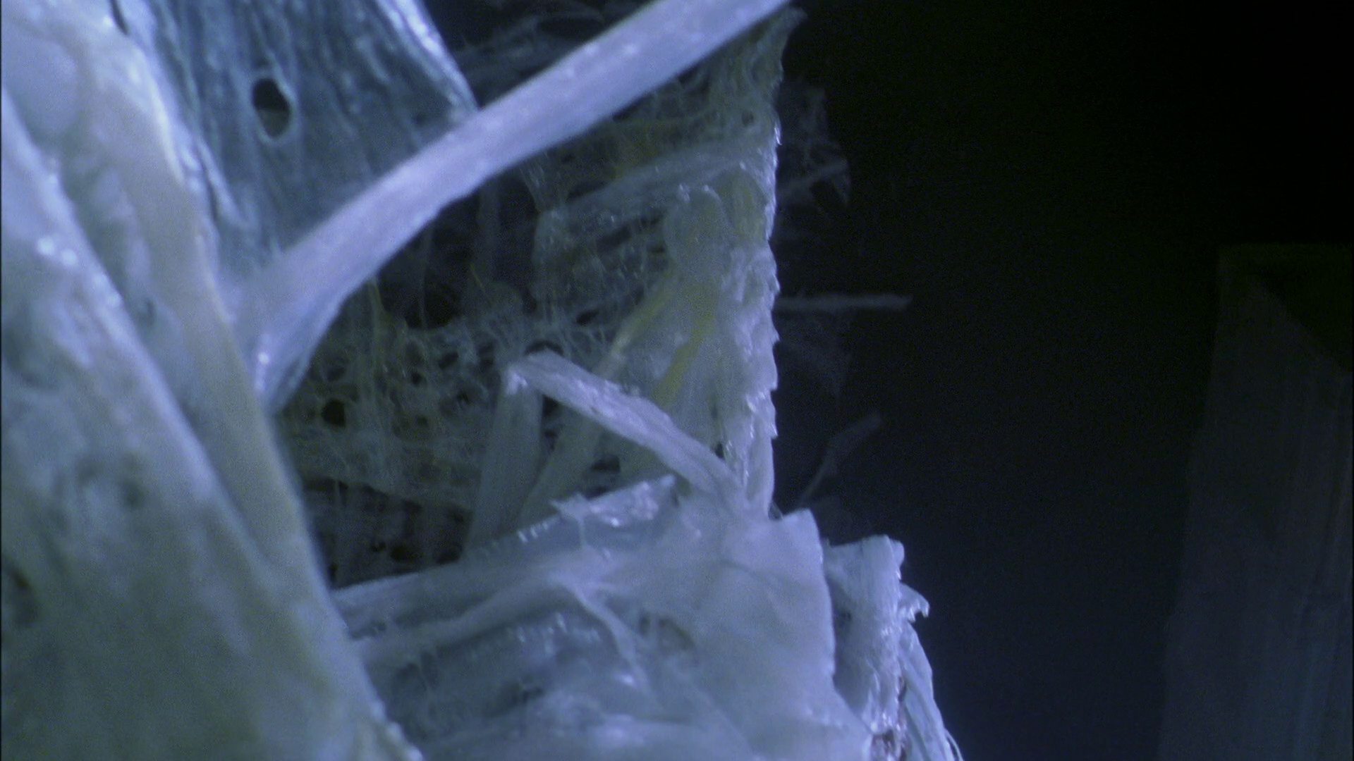 extant_StarTrek_ENT_1x22-VoxSola_3037.jpg