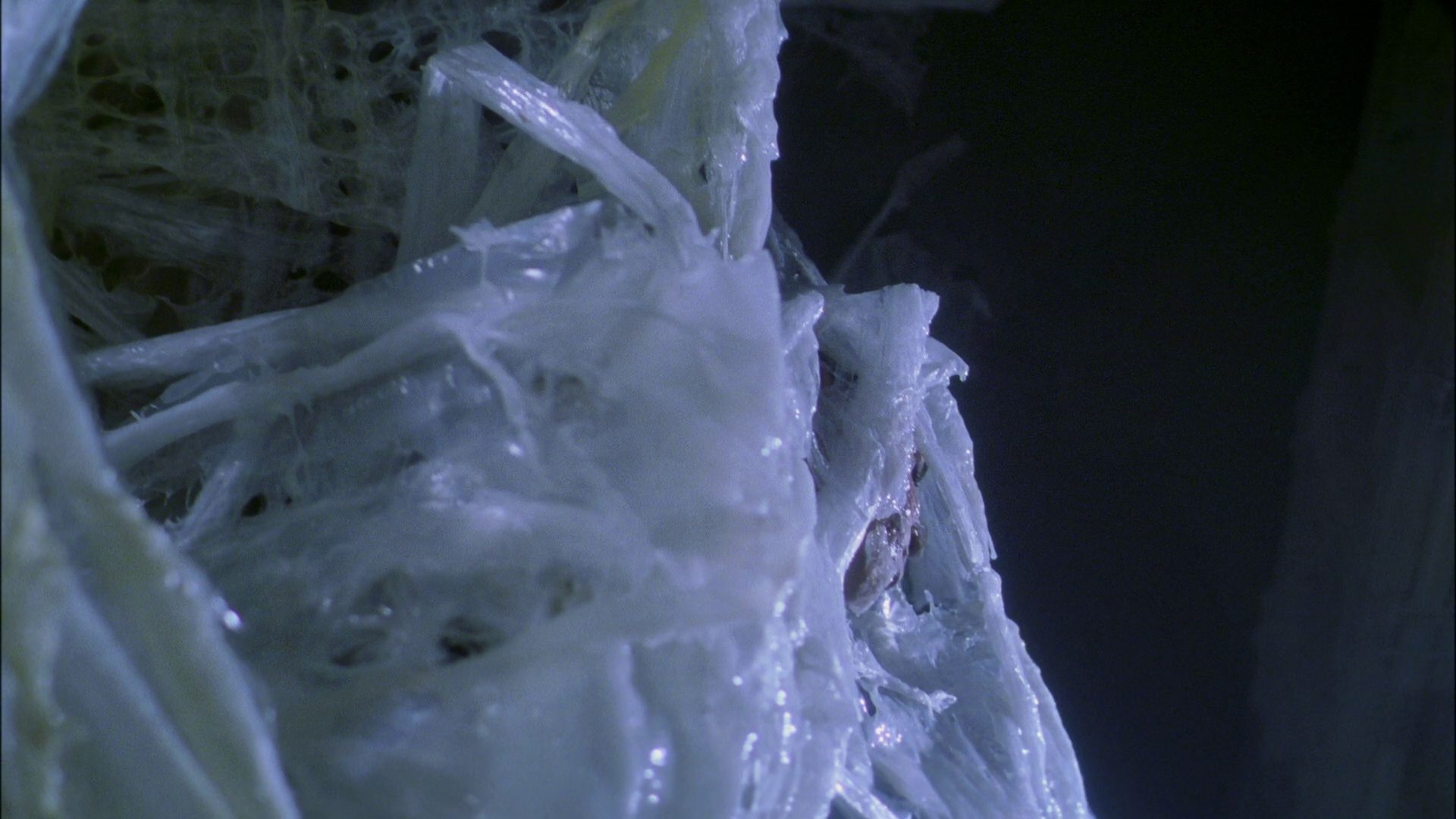 extant_StarTrek_ENT_1x22-VoxSola_3039.jpg