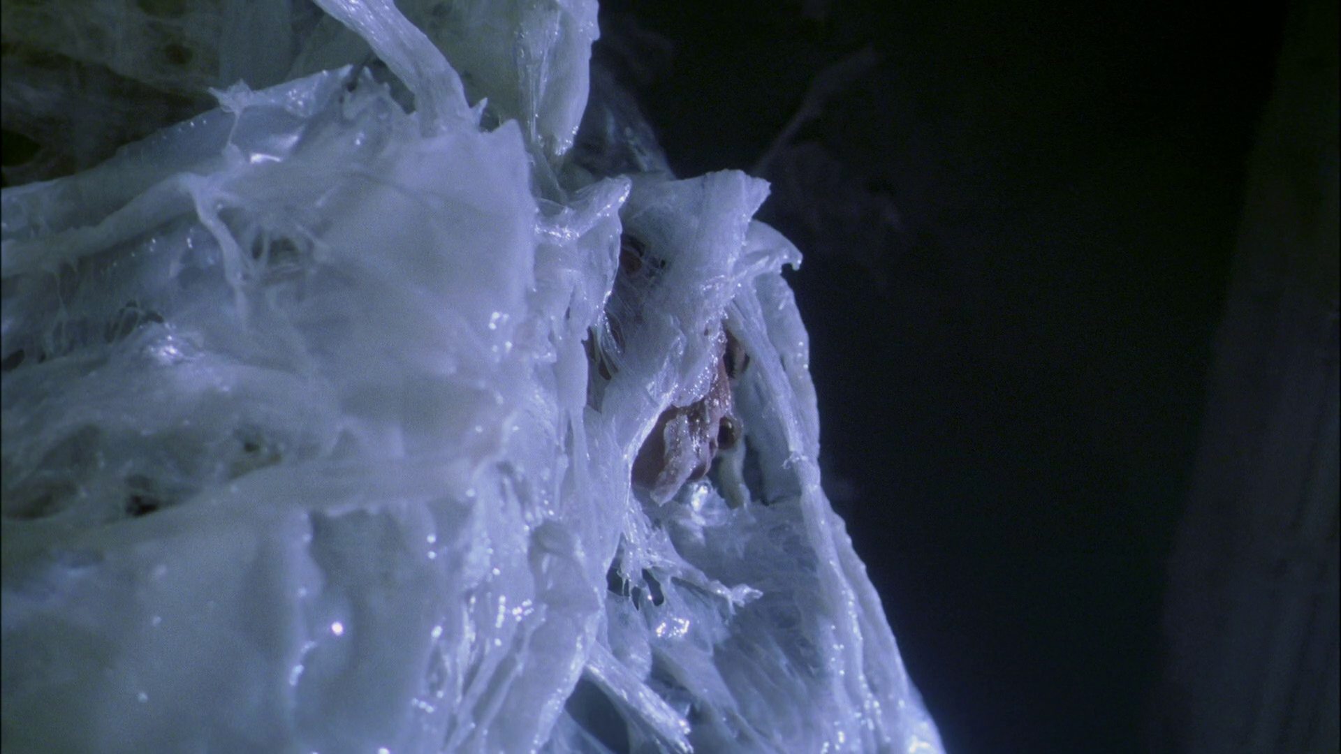 extant_StarTrek_ENT_1x22-VoxSola_3041.jpg