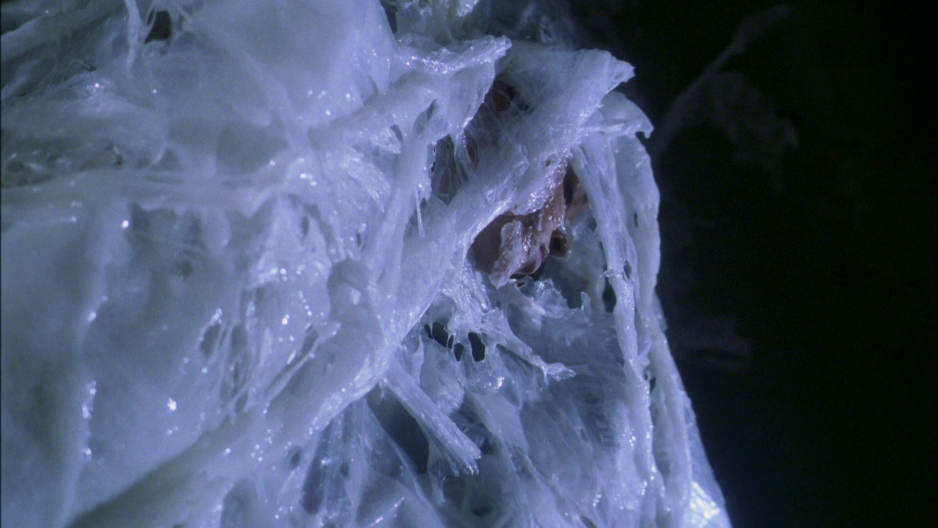 extant_StarTrek_ENT_1x22-VoxSola_3044.jpg