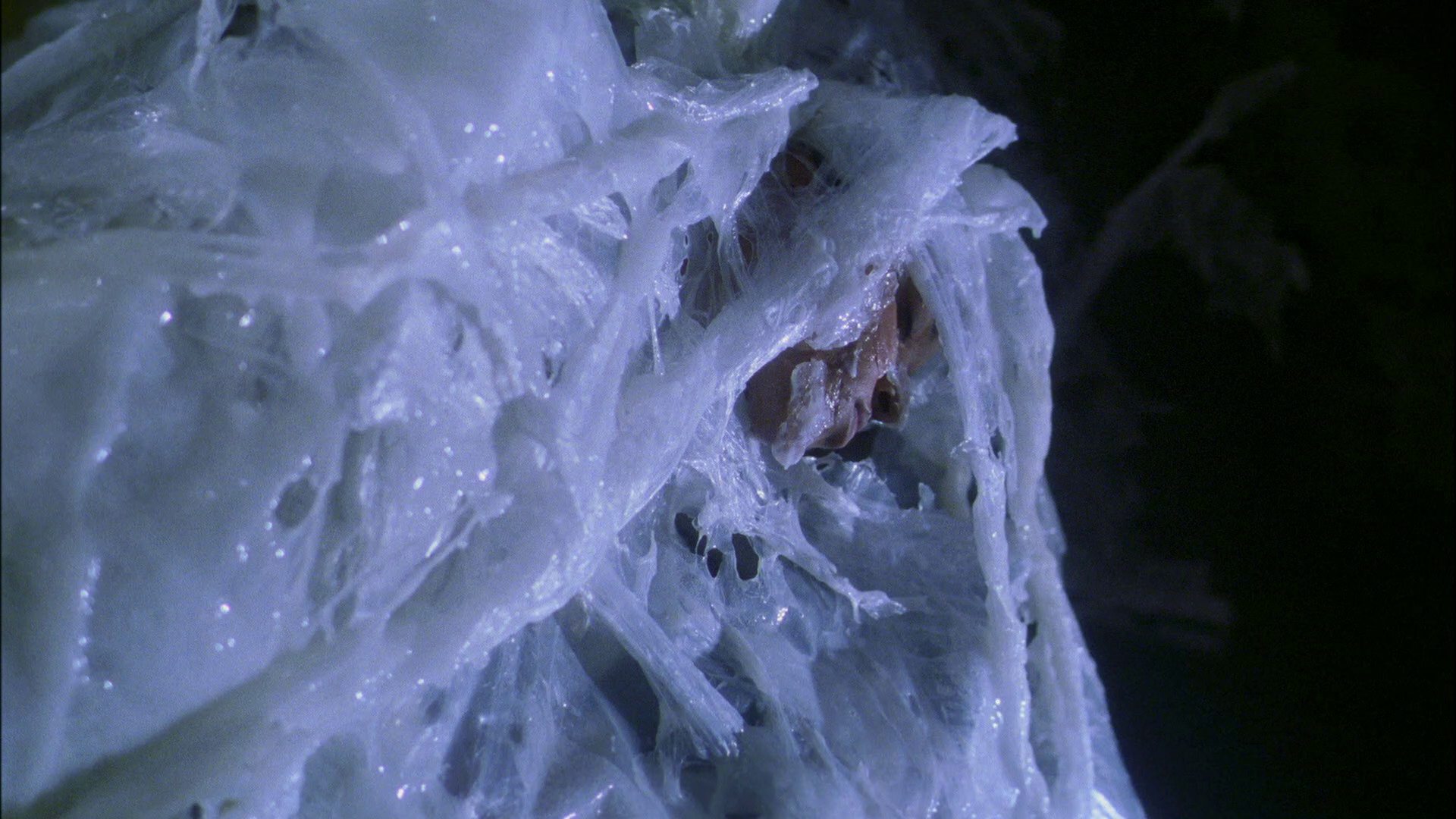 extant_StarTrek_ENT_1x22-VoxSola_3045.jpg