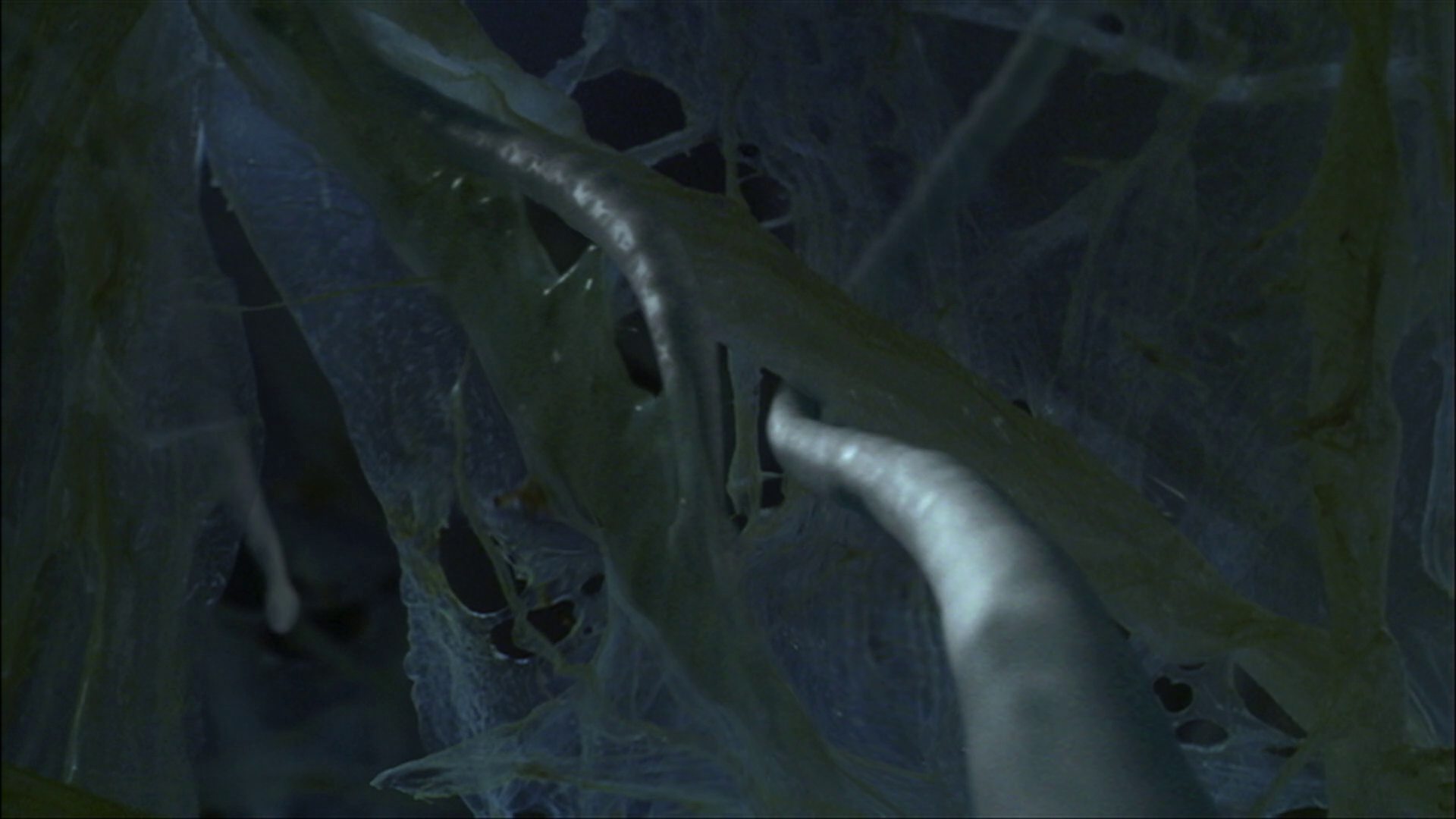 extant_StarTrek_ENT_1x22-VoxSola_3078.jpg