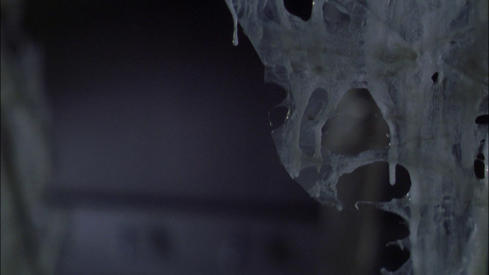 extant_StarTrek_ENT_1x22-VoxSola_3143.jpg