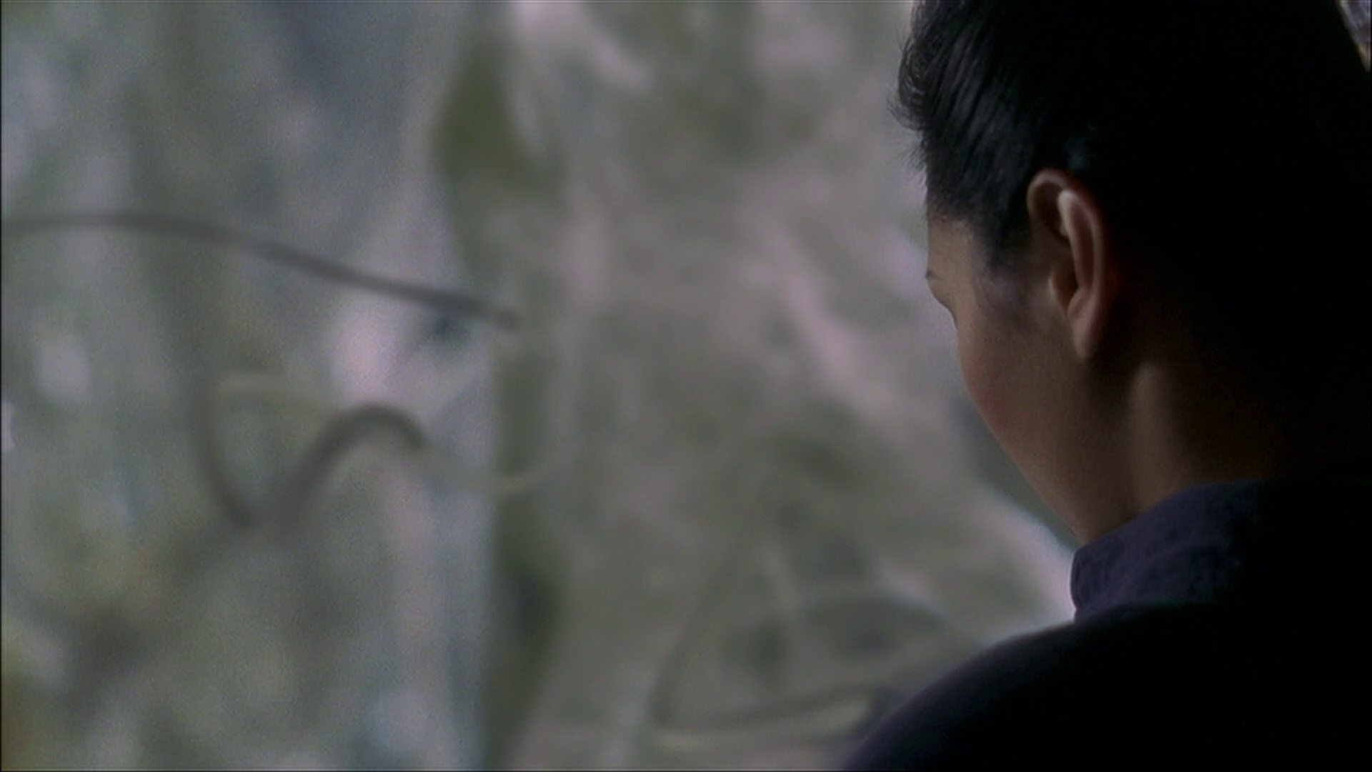 extant_StarTrek_ENT_1x22-VoxSola_3195.jpg