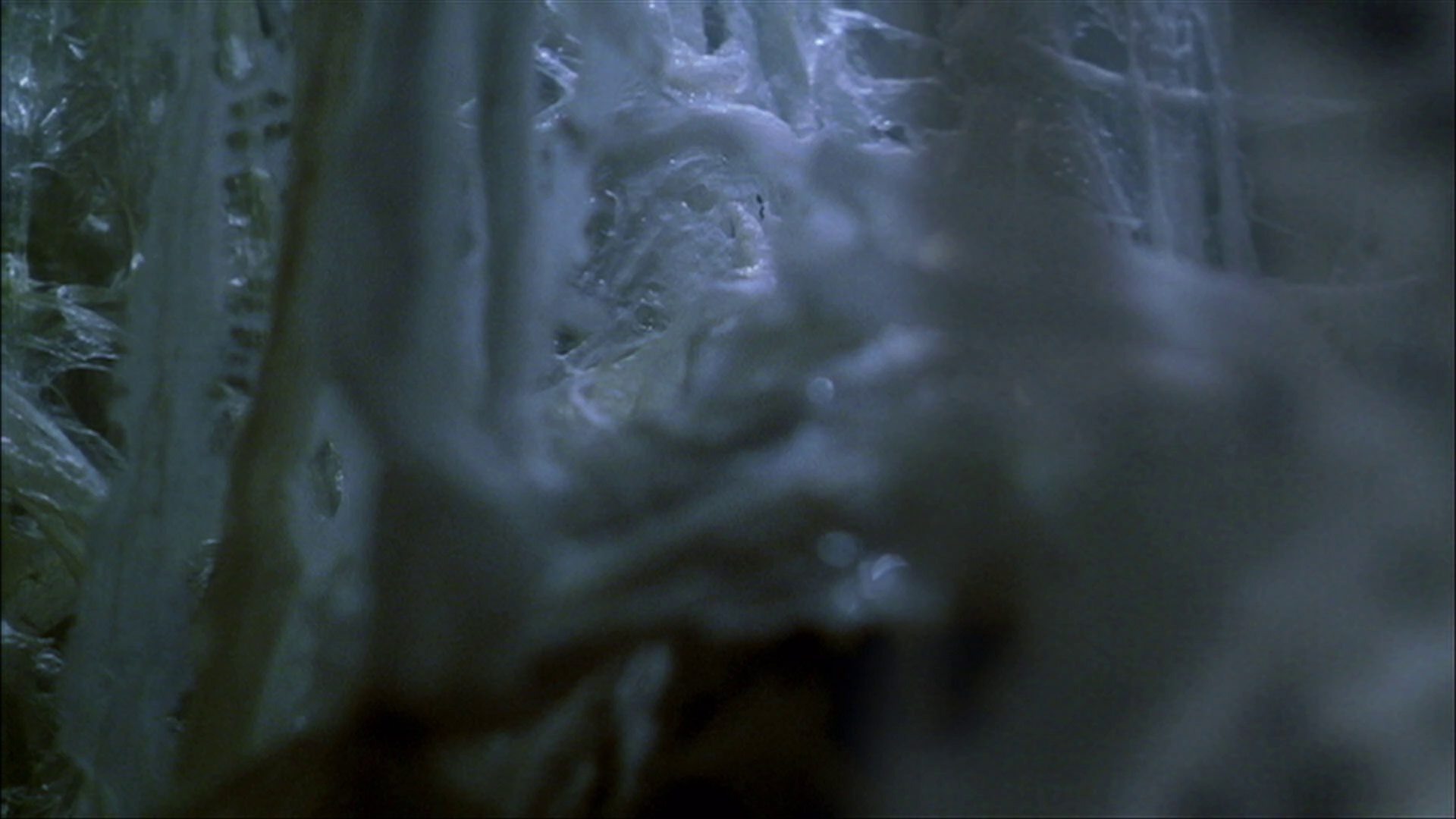 extant_StarTrek_ENT_1x22-VoxSola_3299.jpg
