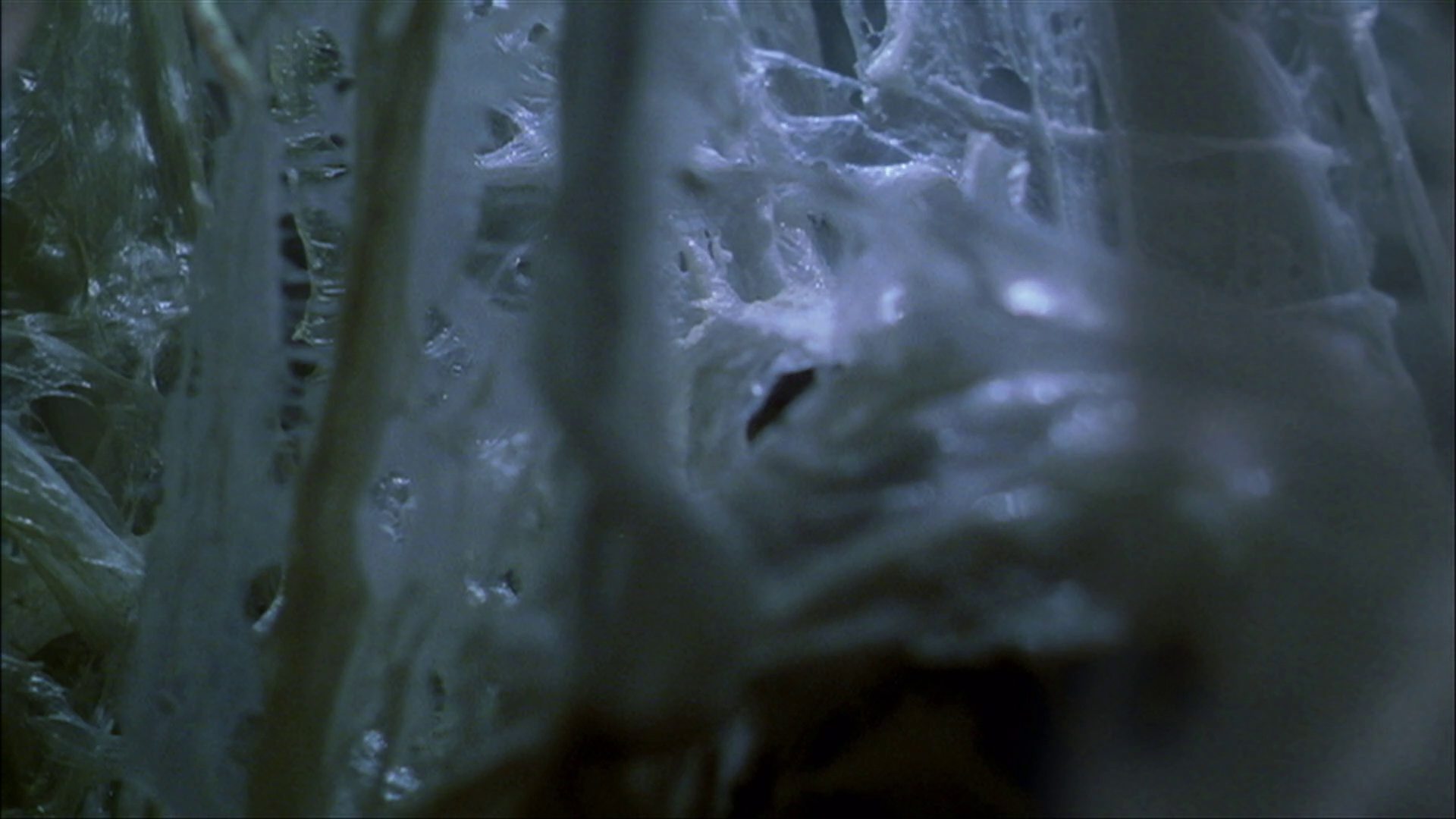 extant_StarTrek_ENT_1x22-VoxSola_3300.jpg