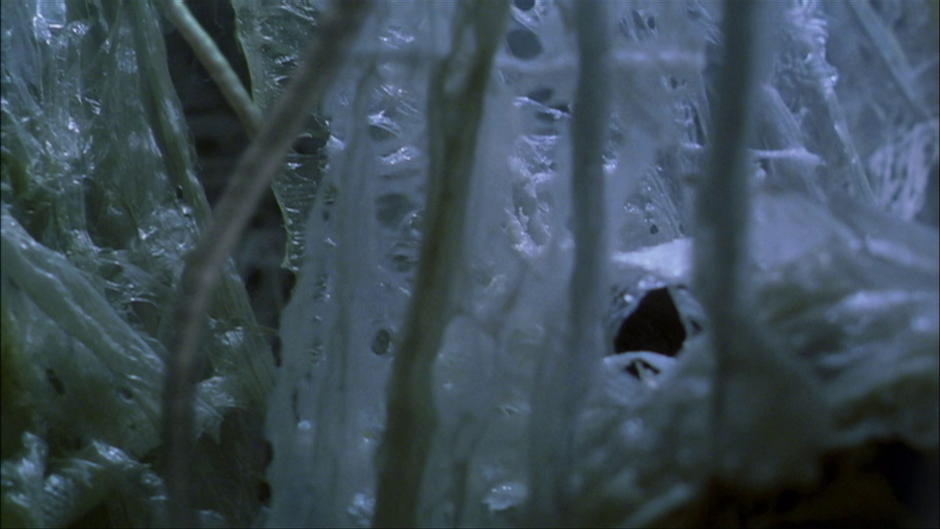 extant_StarTrek_ENT_1x22-VoxSola_3302.jpg