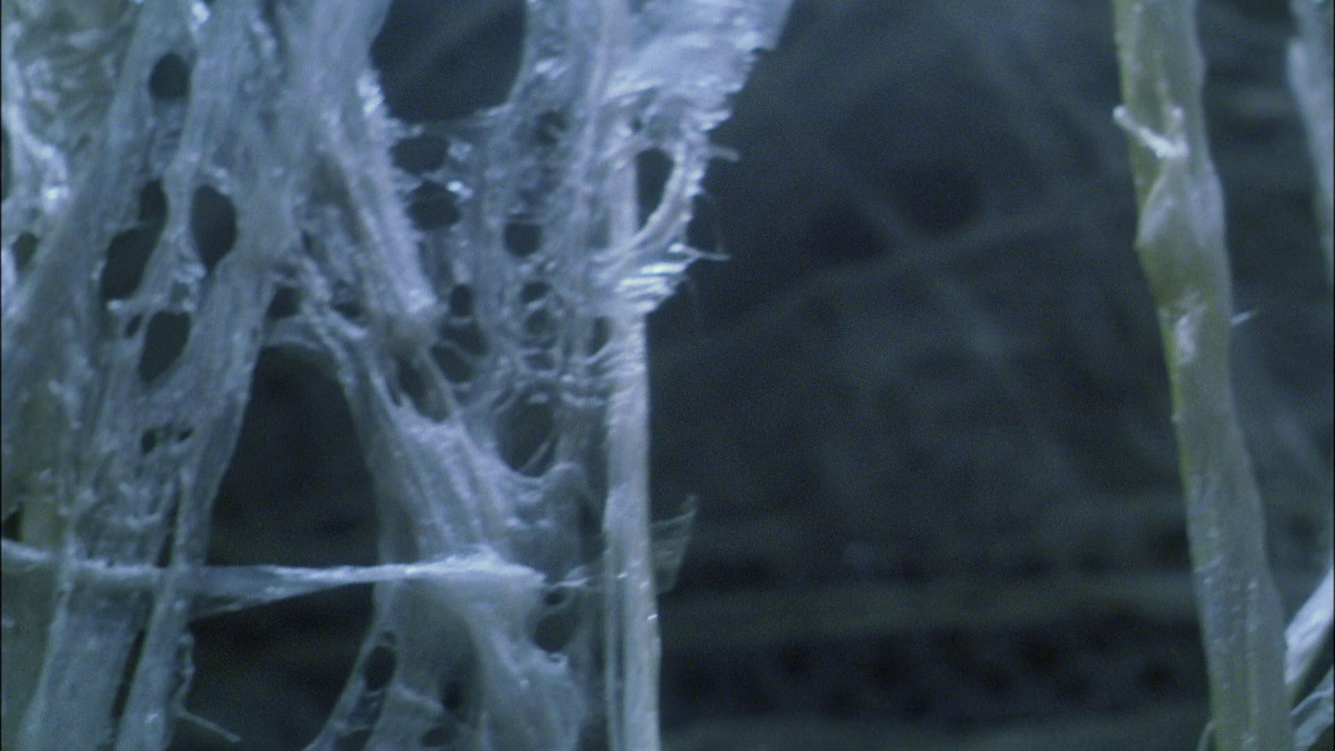 extant_StarTrek_ENT_1x22-VoxSola_3345.jpg
