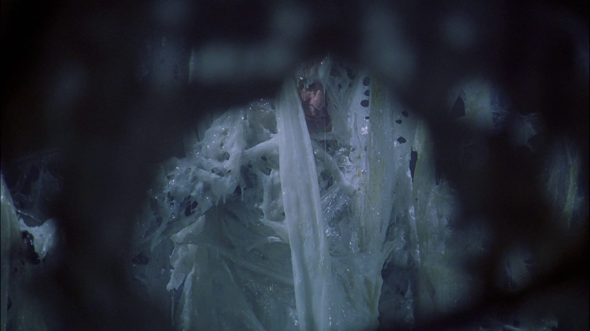 extant_StarTrek_ENT_1x22-VoxSola_3394.jpg