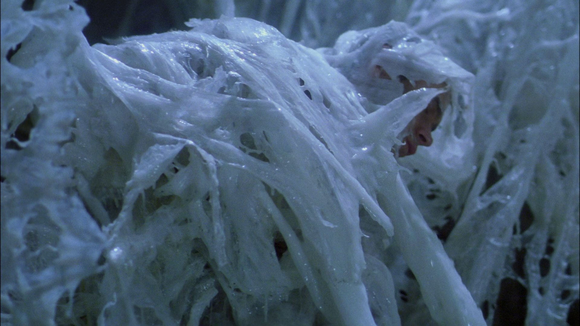 extant_StarTrek_ENT_1x22-VoxSola_3407.jpg