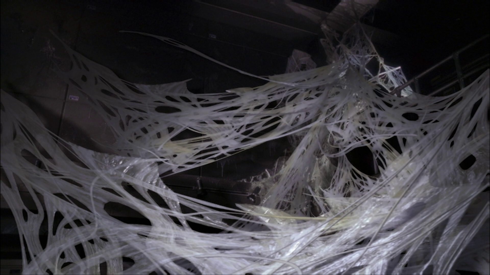 extant_StarTrek_ENT_1x22-VoxSola_3472.jpg