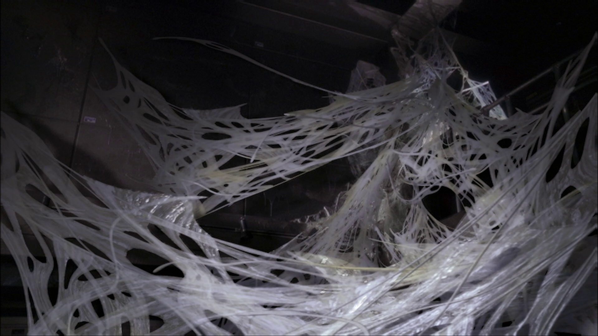 extant_StarTrek_ENT_1x22-VoxSola_3473.jpg