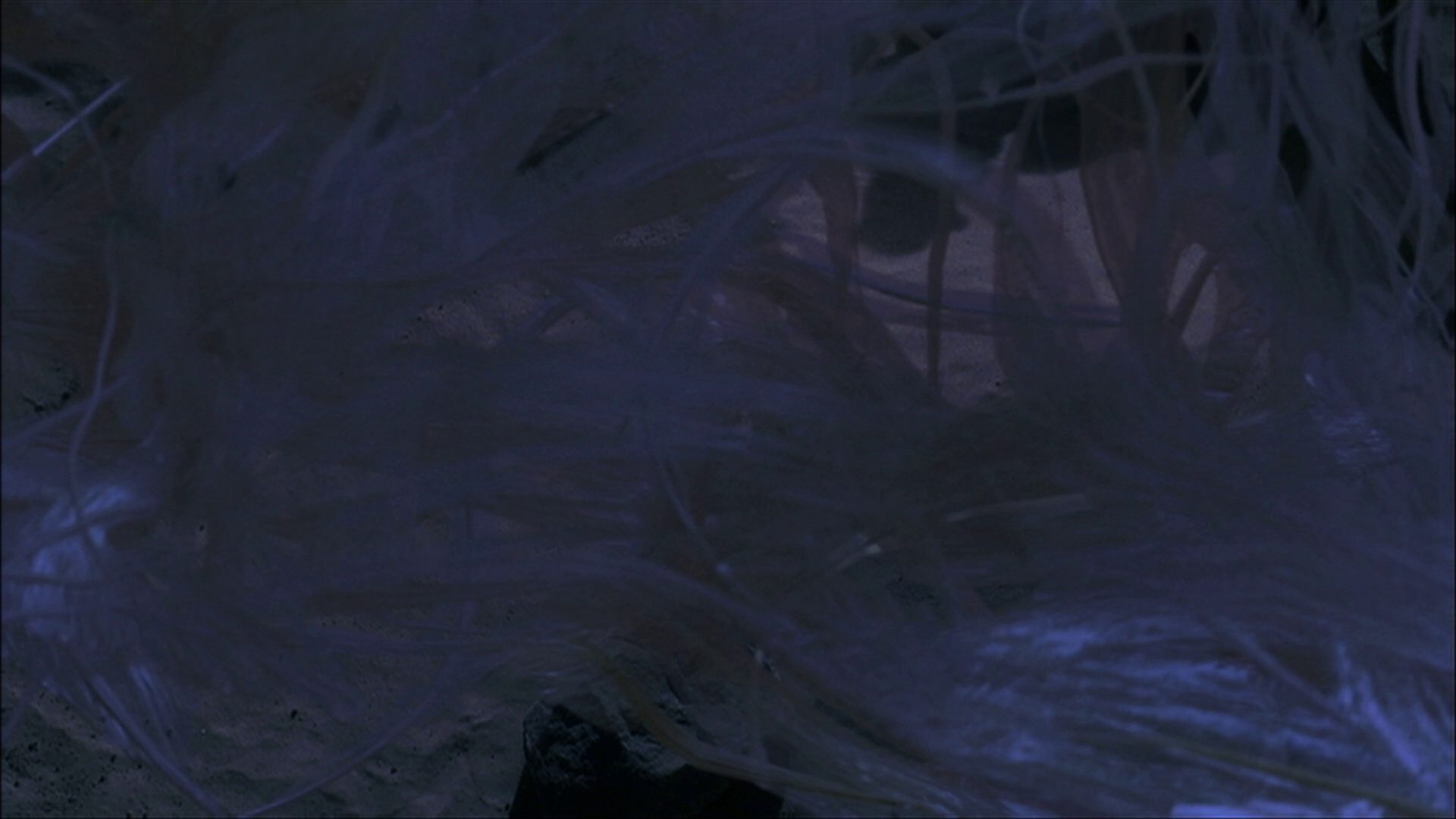 extant_StarTrek_ENT_1x22-VoxSola_3529.jpg