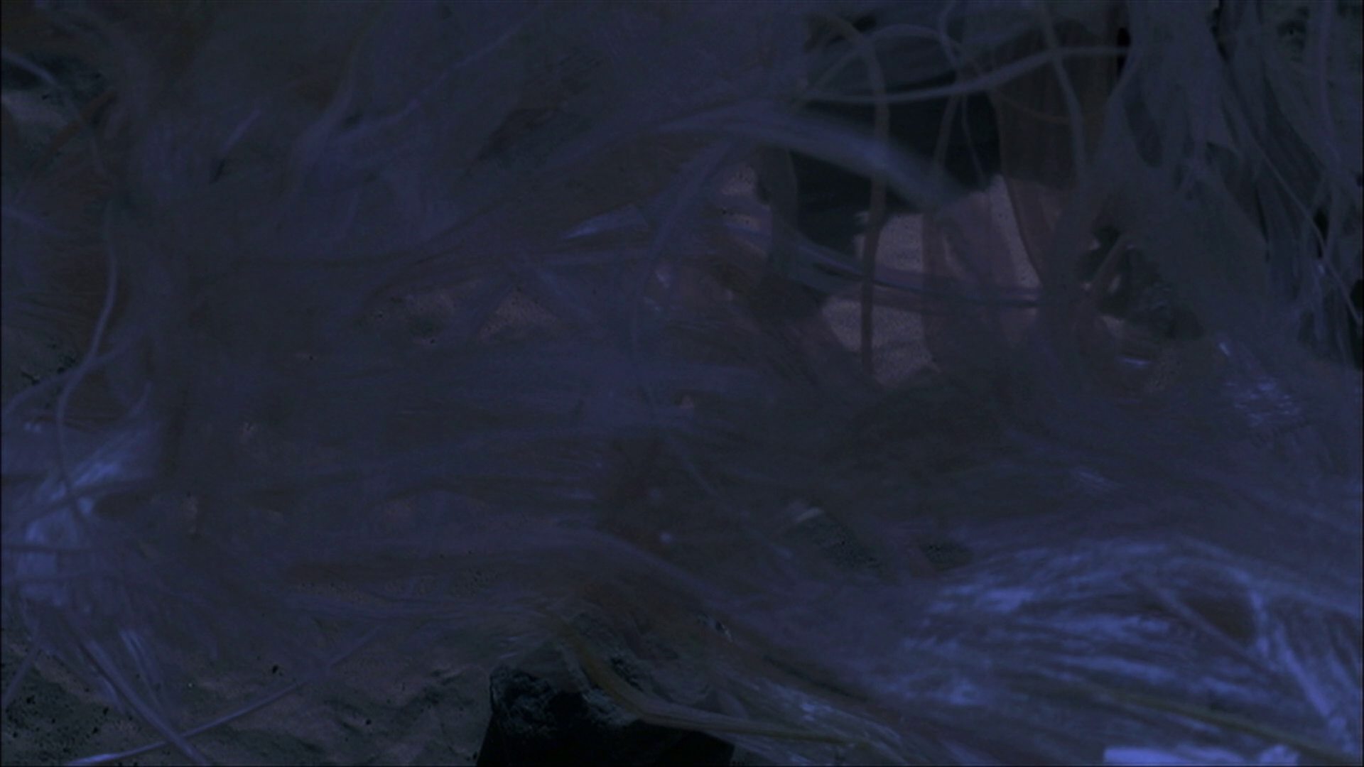 extant_StarTrek_ENT_1x22-VoxSola_3530.jpg