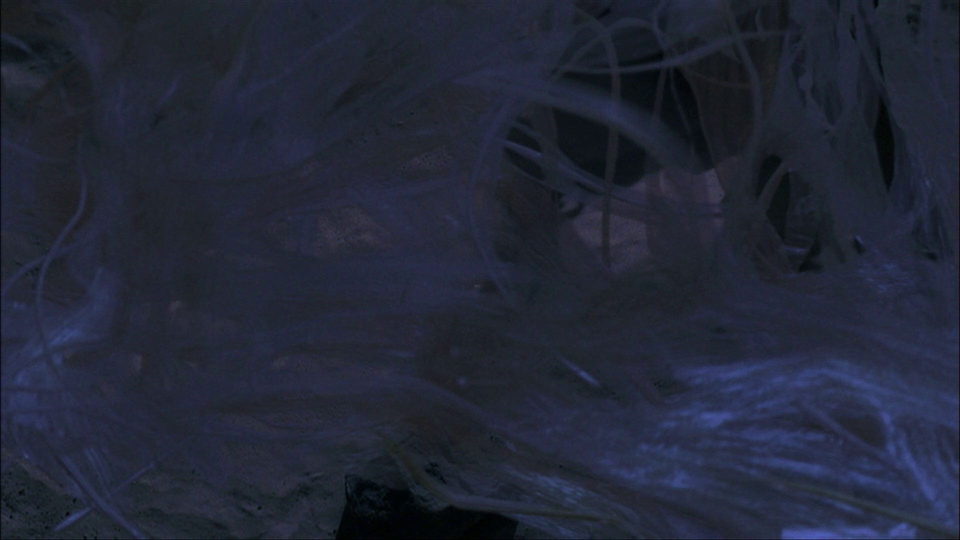 extant_StarTrek_ENT_1x22-VoxSola_3531.jpg