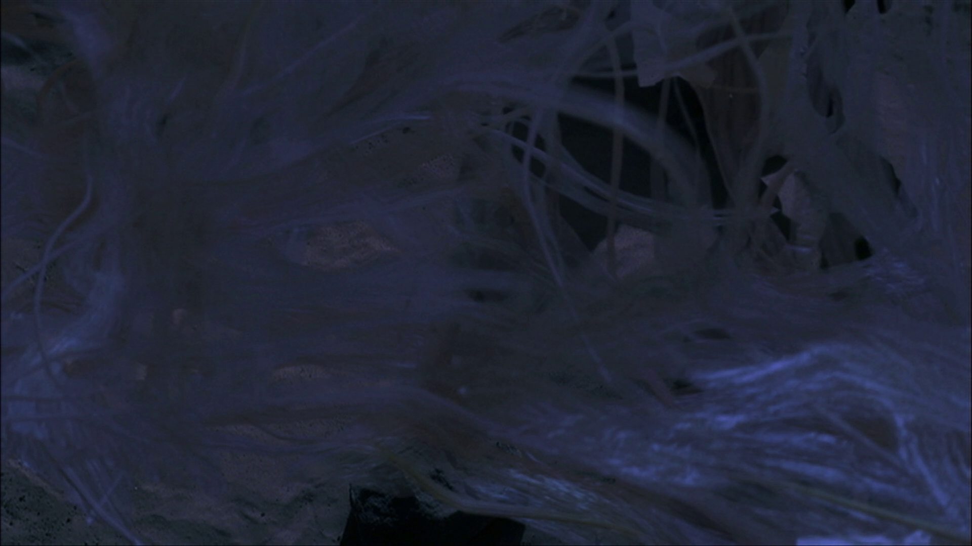 extant_StarTrek_ENT_1x22-VoxSola_3532.jpg