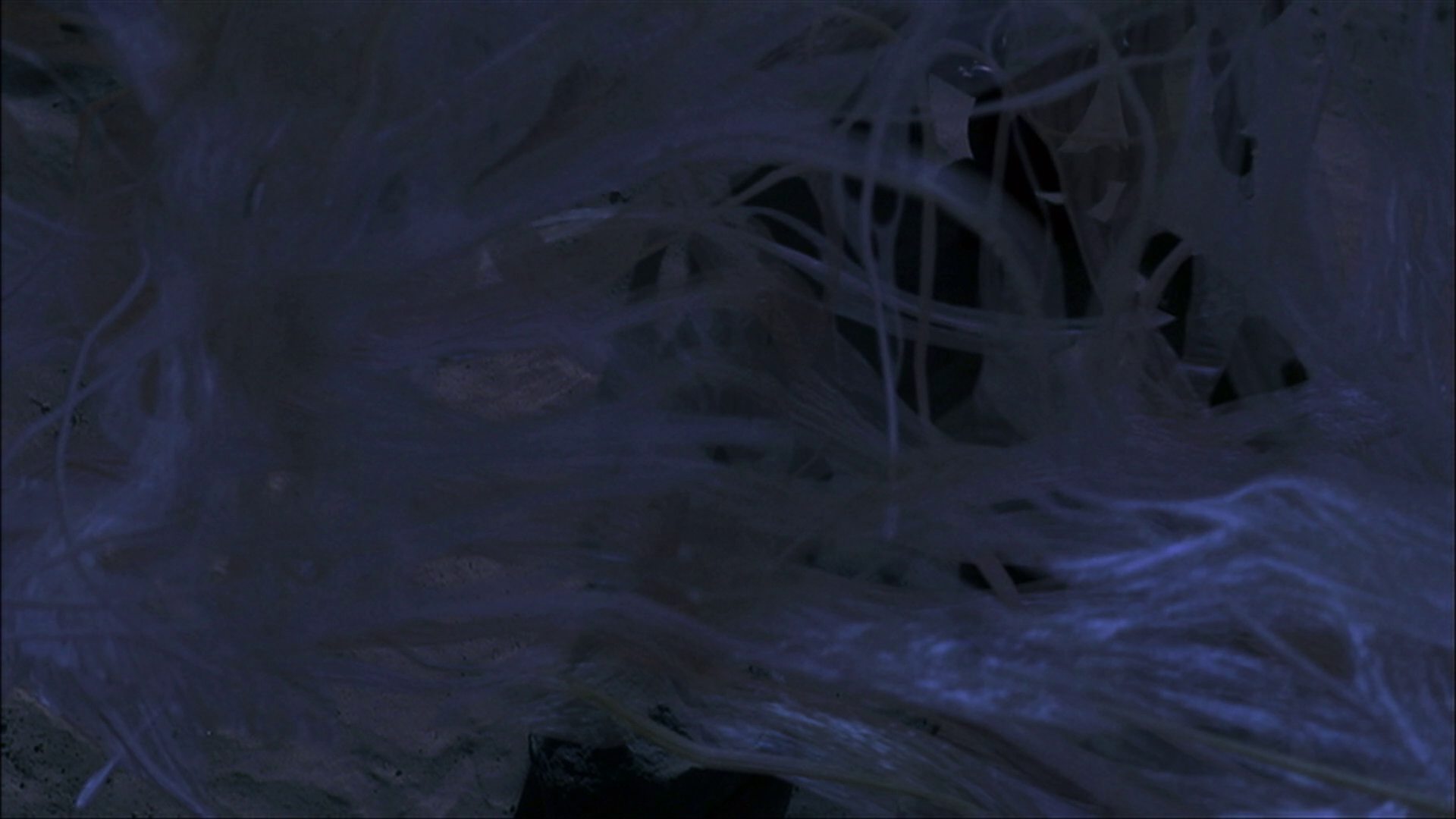 extant_StarTrek_ENT_1x22-VoxSola_3533.jpg
