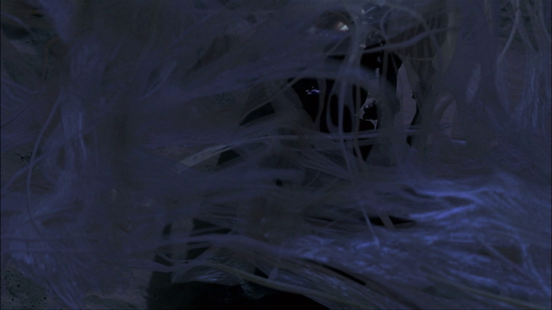 extant_StarTrek_ENT_1x22-VoxSola_3535.jpg