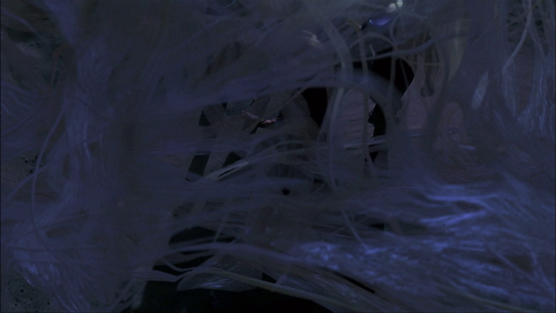 extant_StarTrek_ENT_1x22-VoxSola_3536.jpg