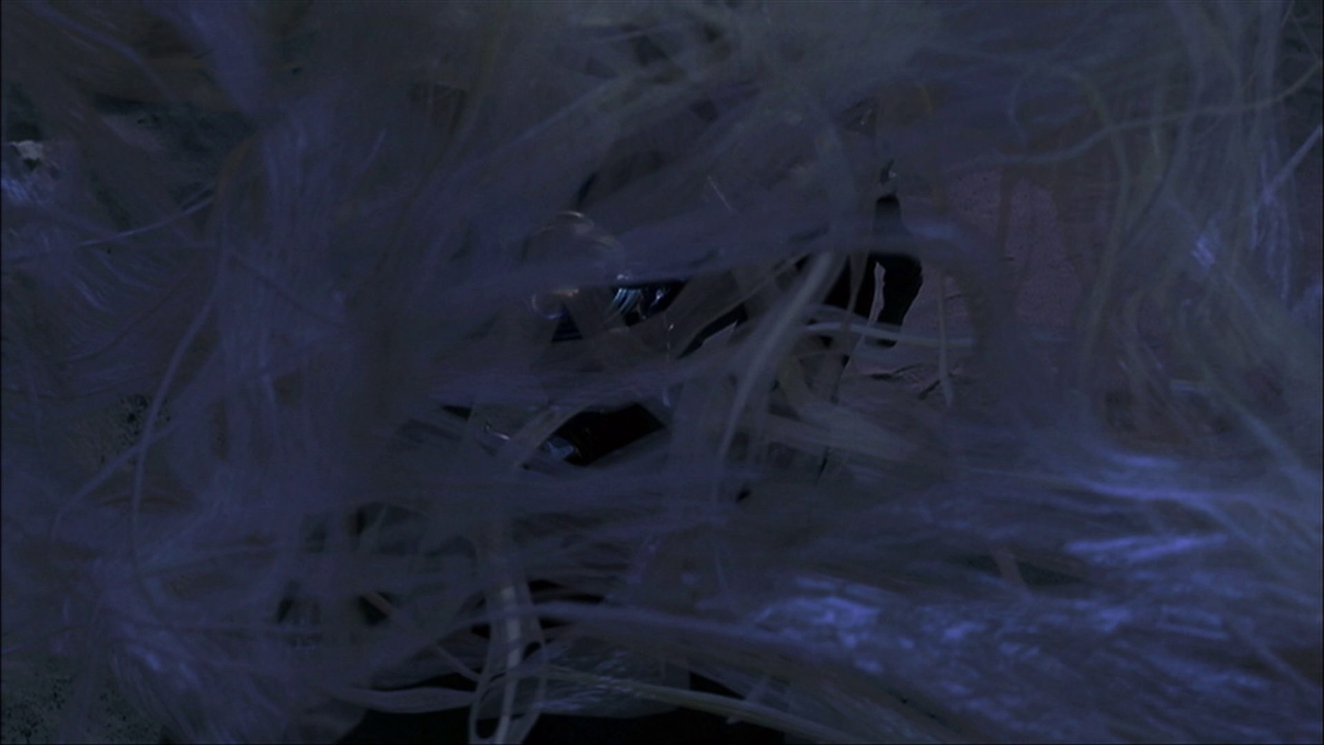 extant_StarTrek_ENT_1x22-VoxSola_3538.jpg
